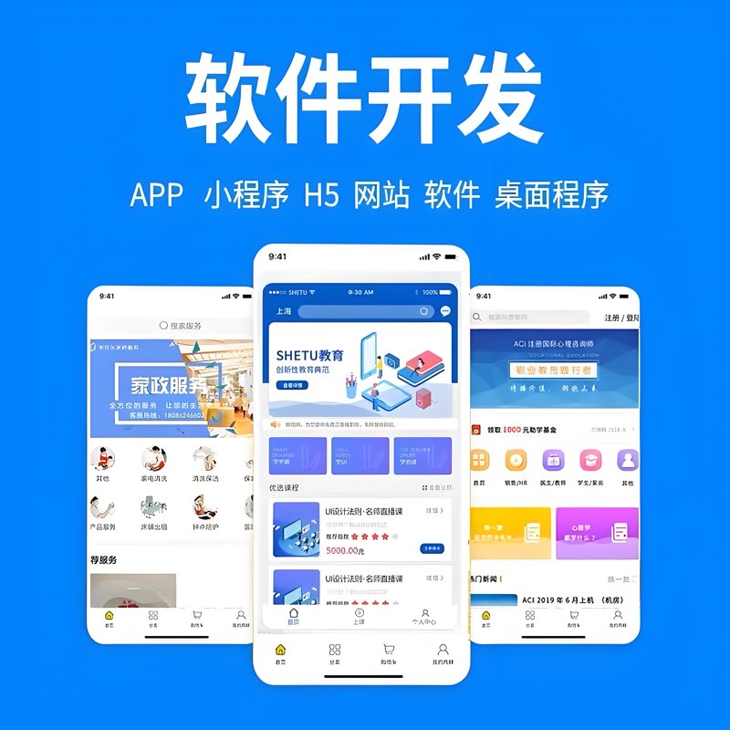 软件开发定制推动企业加速转型